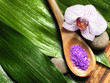 bowl of salt and orchid bowl of salt and orchid