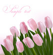 Flower design border isolated on white  Vector