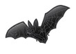 Fledermaus mit Symbolen