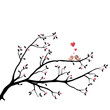 Birds in Love
