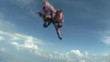 Skydiving video. Tandem.