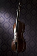 Violine Geige
