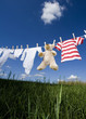 Photo: Baby clothing on a clothesline Baby clothing on a clothesline