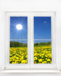 Spring Window
