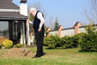 senior gardener senior gardener
