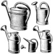 arrosoirs