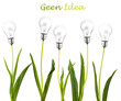 Green idea concept