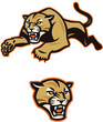 Leaping Cougar