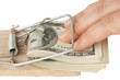 Photo: Dollars in mouse trap Dollars in mouse trap