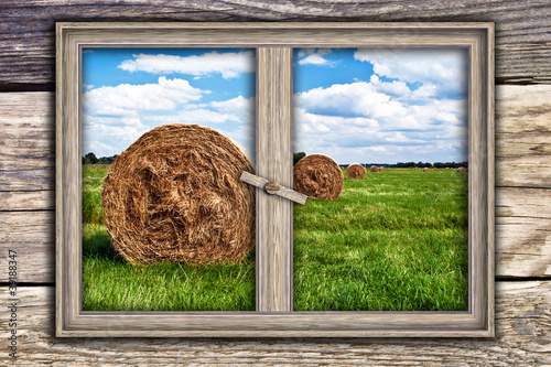 Photo: Sommerlandschaft Sommerlandschaft