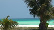 wild beach with white coral sand