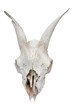 Totenkopf