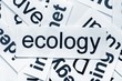 Ecology word cloud