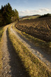 In the Mühlviertel