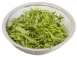 Rucola im Sieb