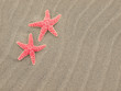 Two Red Starfish on the Beach with Windswept Sand Ripples Two Red Starfish on the Beach with Windswept Sand Ripples