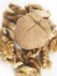 Nueces 02