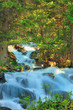 The mountain river flows among stones and wood The mountain river flows among stones and wood