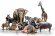 canvas print picture - Wilde Tiere