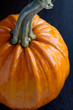 Big pumpkin Big pumpkin