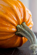 Big pumpkin Big pumpkin