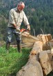 coupe de bois