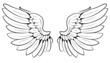 pair of wings