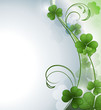 Vector background with a clover Vector background with a clover