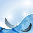 Vector background with feather Vector background with feather