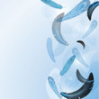 Vector background with feather Vector background with feather
