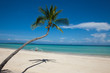 Dream island
