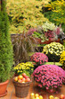 Balkon mit Herbstblumen.