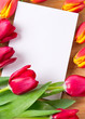 Blank greeting card with tulips around Blank greeting card with tulips around