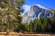 Half Dome Scene Half Dome Scene