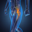 Illustration: human radiography scan human radiography scan
