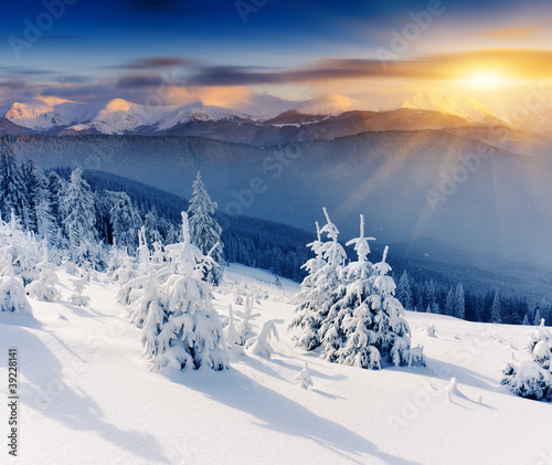 Photo: Winter Winter