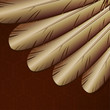 Vector background with golden feathers Vector background with golden feathers