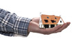 The house in human hand