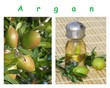 argan