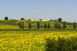 Farm in Umbria Farm in Umbria