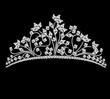 Vector: diadem feminine wedding with rock crystals diadem feminine wedding with rock crystals