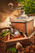 Coffee grinder