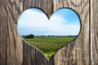 Landwirtschaft