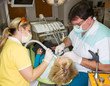 Dental team and mature lady patient