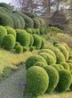 Foto: jardin d'une villa italienne jardin d'une villa italienne
