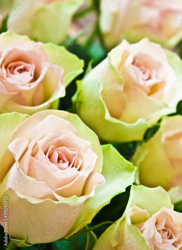 Photo: Rosen Rosen