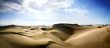 Gold desert into the sunset.