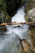 Vintgar-Schlucht bei Bled, Slowenien