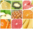 Collection fruits