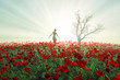 Woman on the poppy field Woman on the poppy field